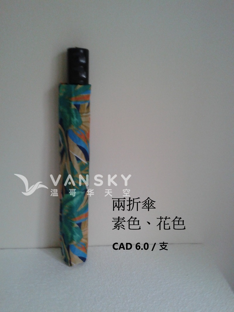 250210075035_2 fold.jpg